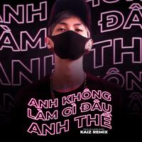 Anh Không Làm Gì Đâu Anh Thề (KAIZ Remix)