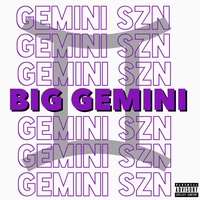 BIG GEMINI