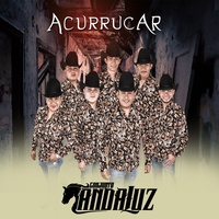 Acurrucar