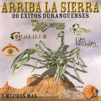 500 Novillos