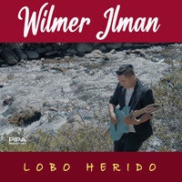 Lobo Herido