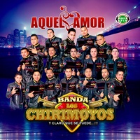 Y Claro Que Se Puede - Sones para Jaripeo