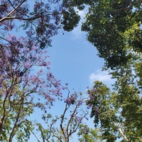 Village Flute and Drum