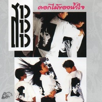 ดอกไม้ของน้ําใจ