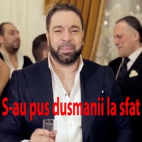 D-Aia Mai Beau Cate O Data