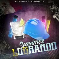 Seguimos Logrando