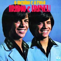 Cachorro Amigo - Cururu