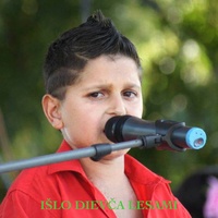 Išlo dievča lesami