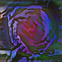 Dynamic Fruit