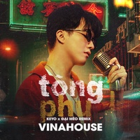 Tòng Phu (Đại Mèo Remix)