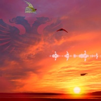 Albanian Banger Cifteli " Ca ka zogu"