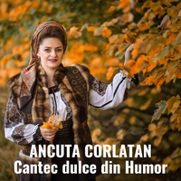 Cantec dulce din Humor