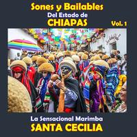 Las Chiapanecas