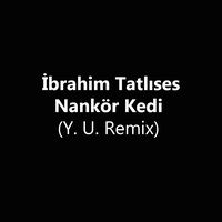 Nankör Kedi - Y. U. Remix