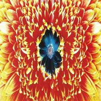 Rammstein (Instrumental Rammstein Cover)