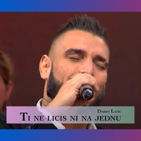 Ti ne ličiš ni na jednu - Live Cover