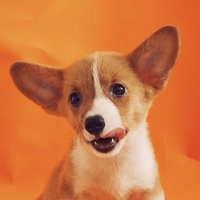 heartwarming everyday song(1370853)