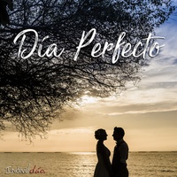 Día Perfecto