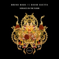 Versace on the Floor (Bruno Mars vs. David Guetta)