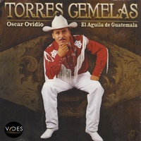 Las Torres Gemelas