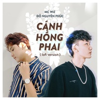 Cánh Hồng Phai (Lofi Version)