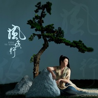 风夜行 - DJ沈念版