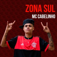 Zona Sul