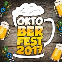 Die lustigen Holzhackerbuam (Oktoberfest Wiesn 2017 Party Mix)