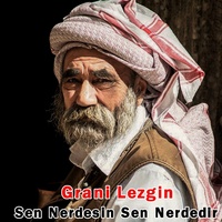 Sen Nerdesin Sen Nerdedir - Grani Remix
