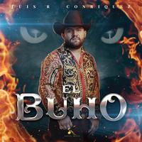 El buho