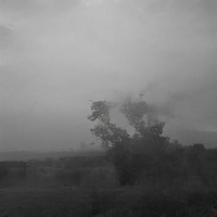 Rain sound (indoor, window opening)(837944)