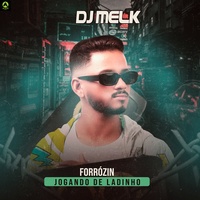 Forrózin Jogando de Ladinho (feat. Swing Guetto) (feat. Swing Guetto)