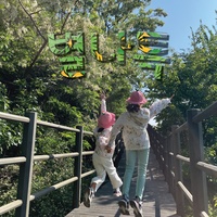 국수송