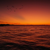 Sundown (feat. Luna)