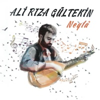 Bu Sene