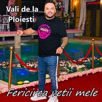 Fericirea vetii mele