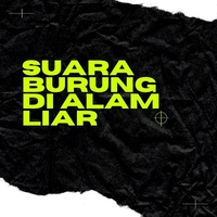 Suara Burung Di Alam Liar
