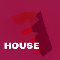 Powerful female vocals and characteristic house(872851)