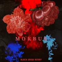 MORBUS
