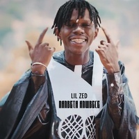Nanbeta Anwbece - Lil Zed
