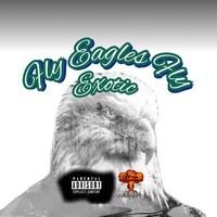 Fly Eagles Fly