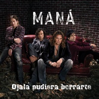 Ojalá Pudiera Borrarte