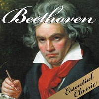 Symphony No. 7 : Allegretto