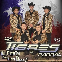 Copita de Oro/ Hundido en los Vicios