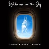 Wake Up In The Sky