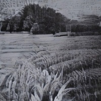 In My Room (Sped Up/Looped)