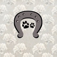 Jag är katt, häst, hund