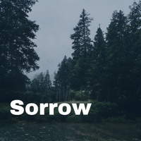 A sad and painful Japanese style song