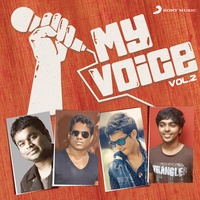 Sound cover