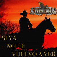Si Ya No Te Vuelvo A Ver